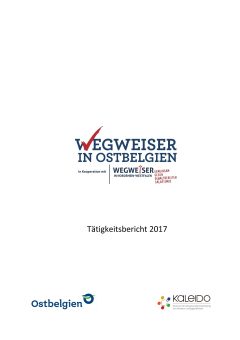 180119 Tätigkeitsbericht