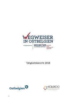 Tätigkeitsbericht Wegweiser 2018